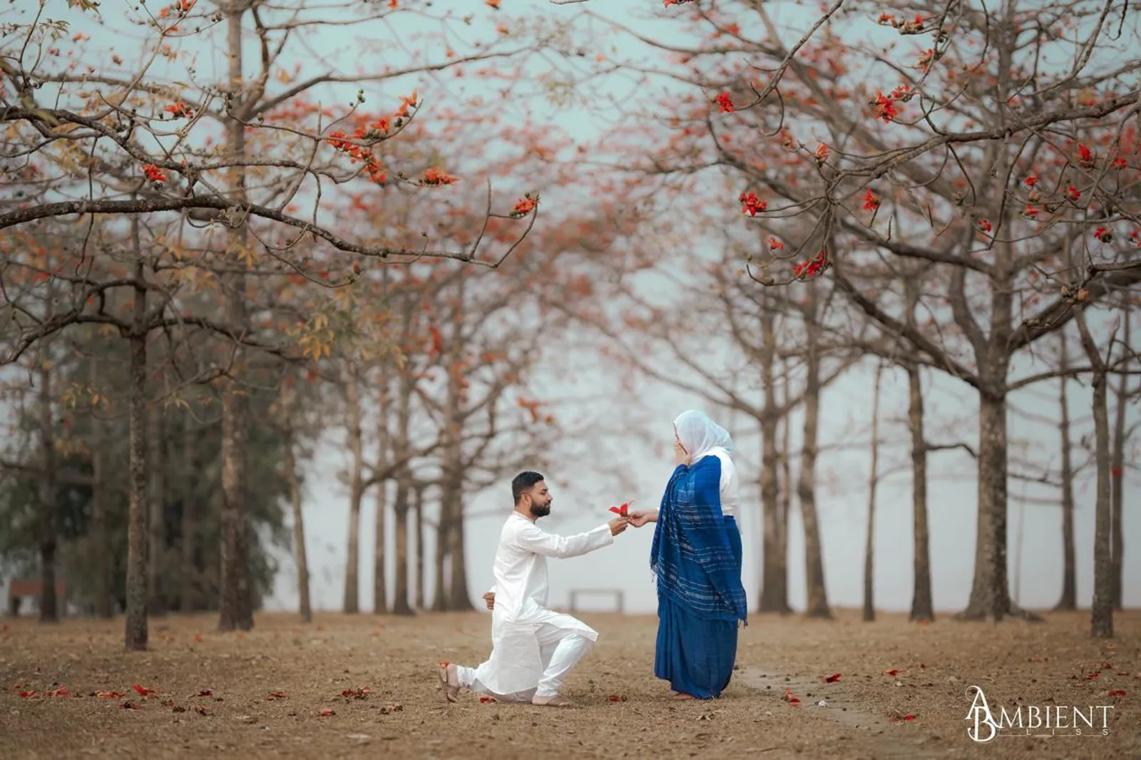 শিমুল বাগানের লাল আভায় ভালোবাসার নীরব ভাষা – আফরোজ ও রাশেদের গল্প